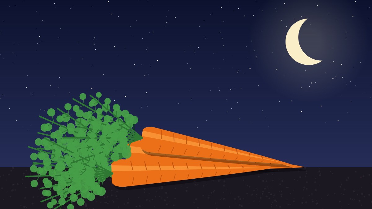 Illustration of three orange carrots with leafy green tops lying on dark soil under a starry night sky and a crescent moon.