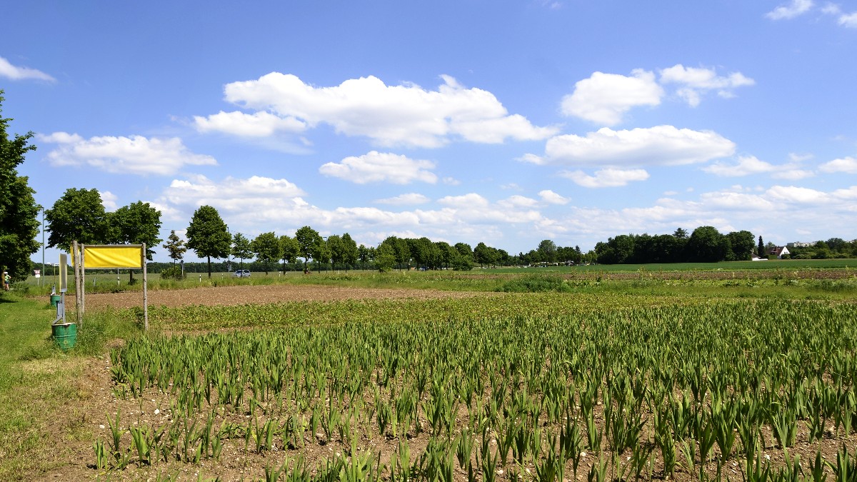 A wide, open agricultural field under a blue sky in southern Germany.