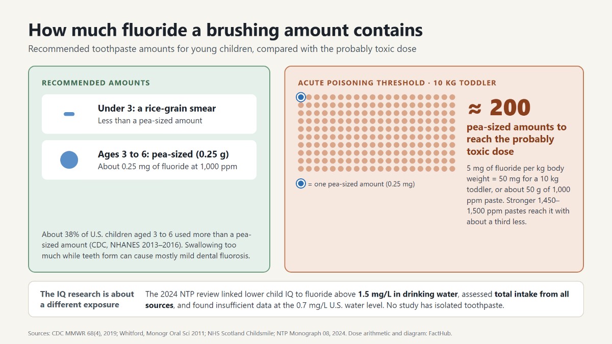 Floide Is Fluoride Toothpaste Bad? What the Cavity, IQ and Safety Evidence ...