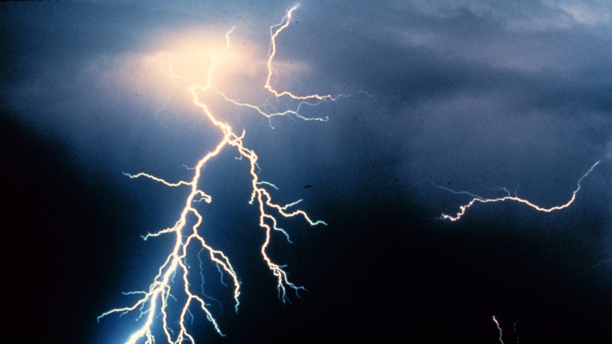 Several branching lightning bolts illuminating a dark nighttime thunderstorm.